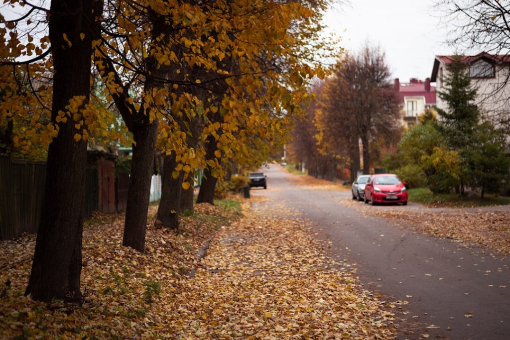 Autómentő Hívás Baleset